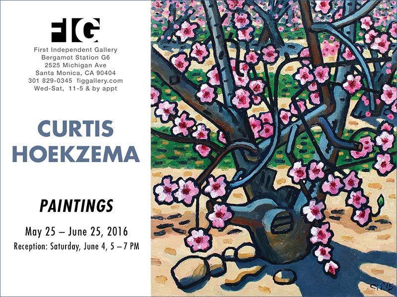 CURTIS HOEKZEMA “PAINTINGS” 2016 FIG First Independent Gallery, Santa Monica.